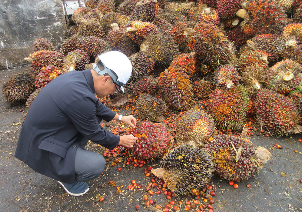 マレーシア産パーム油の産地視察
